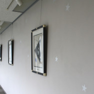 ロマンチックな廊下です！