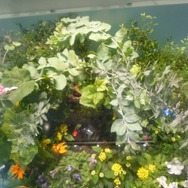 別アングルから見ると、いろんな所にピクミンの姿が