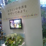 ピクミンの大きさはプチトマト位の大きさなんだって