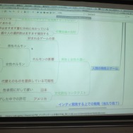 【ゲームコミュニティサミット2013】インディペンデントゲームの行方と日本の開発者へのヒント