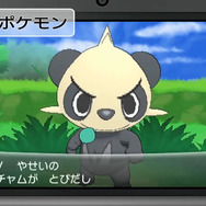 新ポケモンの姿も