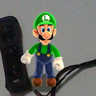 Ｗｉｉリモコンとパチリ