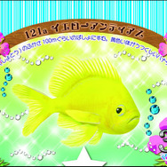 『マリン☆マリン』 夏の新カード「オーシャンブルー」登場！