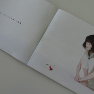 Wii Uのチラシ最新号は『ピクミン3』と4コマ漫画が5話掲載