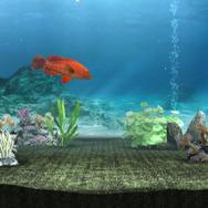 ブルーオアシス〜魚の癒し空間〜