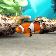 ブルーオアシス〜魚の癒し空間〜