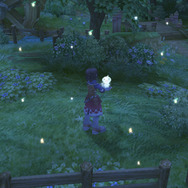 ルーンファクトリー フロンティア