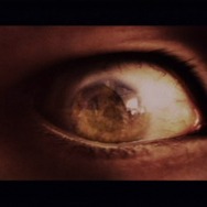 忌火起草 解明編