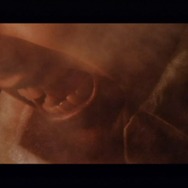 忌火起草 解明編