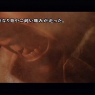 忌火起草 解明編