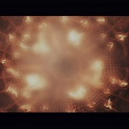 忌火起草 解明編