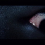 忌火起草 解明編