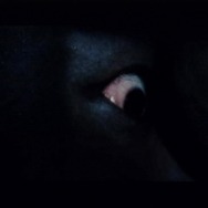 忌火起草 解明編