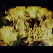 忌火起草 解明編