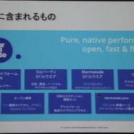 【GTMF2013】過去のC++資産も有効活用、クロスプラットフォームに長けたゲームエンジン「Marmalade」