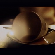 忌火起草 解明編