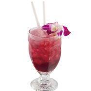 綾里春美「はみちゃんと一緒♪」