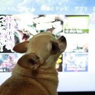 私もゲームしたいワン!