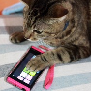 Windows Phoneでもいいかニャ?