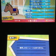 競馬シミュレーション的な要素も楽しめる