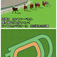 ダービースタリオンDS