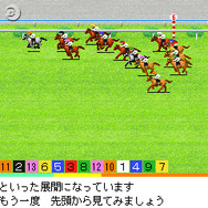 ダービースタリオンDS