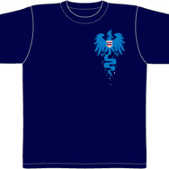 お願い書いて「ジラーチ」ゲット！「ポケモンだいすきクラブ」特別企画