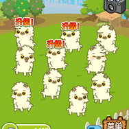 『アルパカ天国』 中文版