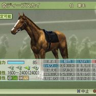 ジーワンジョッキー4 2008