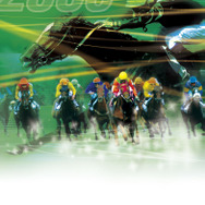 ジーワンジョッキー4 2008