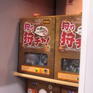 255枚の写真で贈る「モンスターハンター×長野信州渋温泉“モンハン渋の里”」プレスツアーレポート