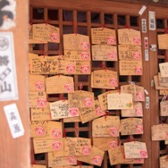 255枚の写真で贈る「モンスターハンター×長野信州渋温泉“モンハン渋の里”」プレスツアーレポート