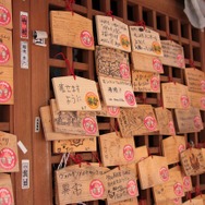 255枚の写真で贈る「モンスターハンター×長野信州渋温泉“モンハン渋の里”」プレスツアーレポート