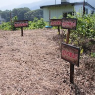 255枚の写真で贈る「モンスターハンター×長野信州渋温泉“モンハン渋の里”」プレスツアーレポート