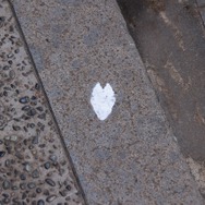 255枚の写真で贈る「モンスターハンター×長野信州渋温泉“モンハン渋の里”」プレスツアーレポート