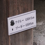 255枚の写真で贈る「モンスターハンター×長野信州渋温泉“モンハン渋の里”」プレスツアーレポート