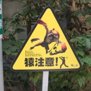 255枚の写真で贈る「モンスターハンター×長野信州渋温泉“モンハン渋の里”」プレスツアーレポート