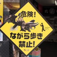 255枚の写真で贈る「モンスターハンター×長野信州渋温泉“モンハン渋の里”」プレスツアーレポート