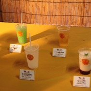 255枚の写真で贈る「モンスターハンター×長野信州渋温泉“モンハン渋の里”」プレスツアーレポート