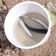 255枚の写真で贈る「モンスターハンター×長野信州渋温泉“モンハン渋の里”」プレスツアーレポート