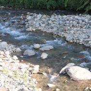 255枚の写真で贈る「モンスターハンター×長野信州渋温泉“モンハン渋の里”」プレスツアーレポート