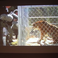 「事件は会議室で起きているんじゃない、現場で起きているんだ!」 ― 何が起きているかがよく分かるスペシャルセミナー「カプコンサウンドの創り方」レポート