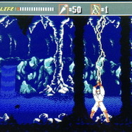 「火龍の術」「雷の術」など、4種類の忍術も使用可能（基本的に1ラウンド1回）