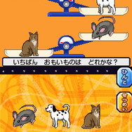 考える力をぐんぐん伸ばす! DS 幼児の脳トレ