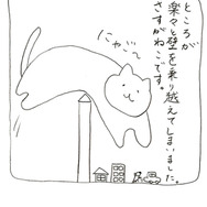 さすがねこ！壁をらくらく乗り越えてしまいました。