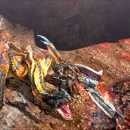 『モンスターハンター4』高低差を利用した新モーションが続々追加、あの既存武器がさらなる躍動を遂げる！