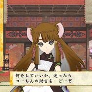 こちらがコーちん