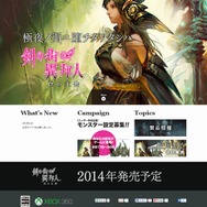 剣の街の異邦人 白の王宮 公式サイト