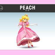 公式サイトショット