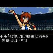 暗黒武術会、開催